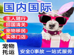 北京机场托运国际宠物托运 【国